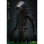 Produktbild Alien - Big Chap Masterpiece Actionfigur 1:6