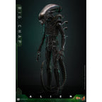Produktbild Alien - Big Chap Masterpiece Actionfigur 1:6