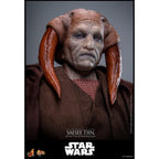 Produktbild Star Wars Episode III: Die Rache der Sith - Saesee Tiin Masterpiece Actionfigur 1:6