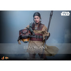 Produktbild Star Wars Episode VI - Leia Organa Masterpiece Actionfigur 1:6