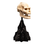 Product image The Lord of the Rings - Skull of Lurtz Mini Statue