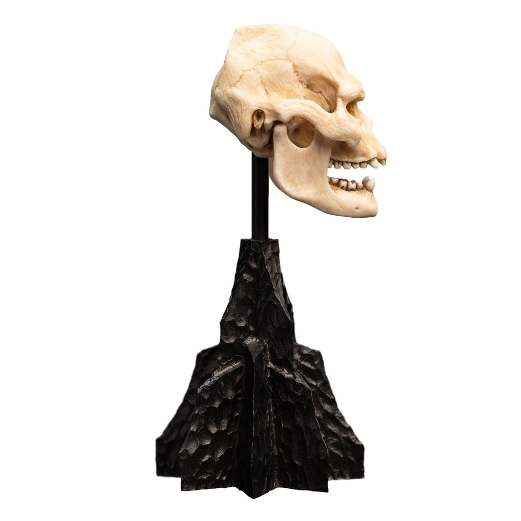 Product image The Lord of the Rings - Skull of Lurtz Mini Statue