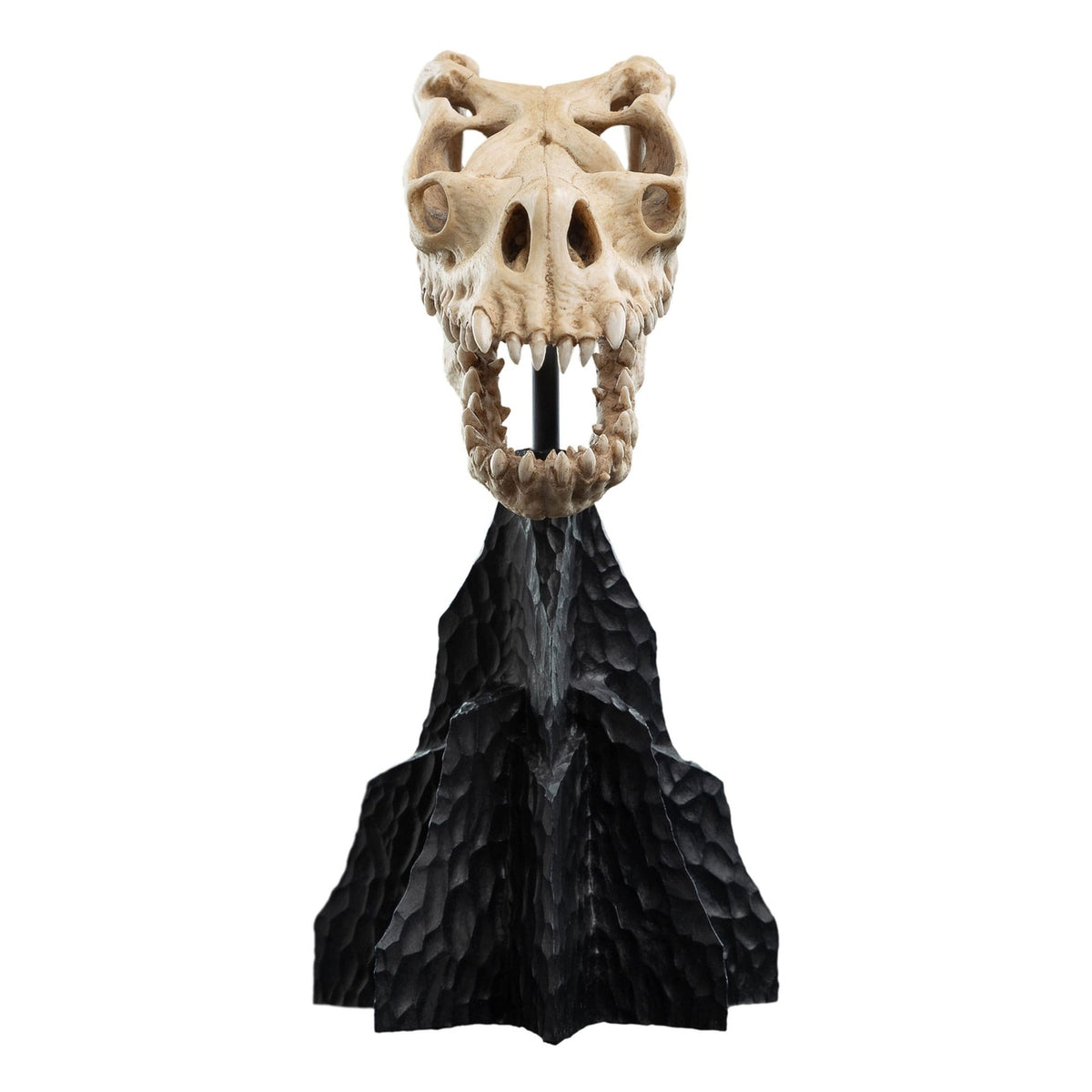 Product image The Lord of the Rings - Skull of a Fell Beast Mini Statue