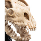 Product image The Lord of the Rings - Skull of a Fell Beast Mini Statue