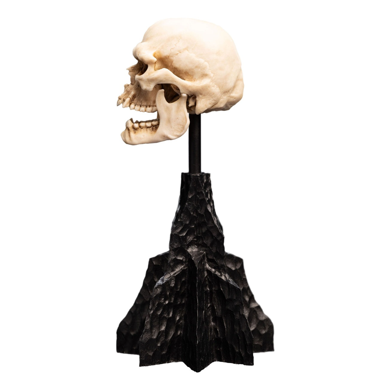 Produktbild Der Herr der Ringe - Skull of a Mordor Orc Mini Statue