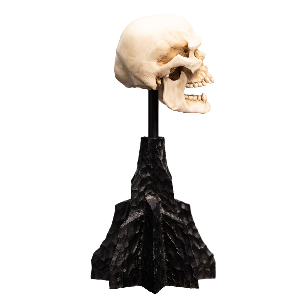 Produktbild Der Herr der Ringe - Skull of a Mordor Orc Mini Statue