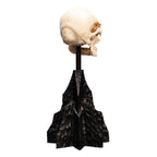 Produktbild Der Herr der Ringe - Skull of a Mordor Orc Mini Statue