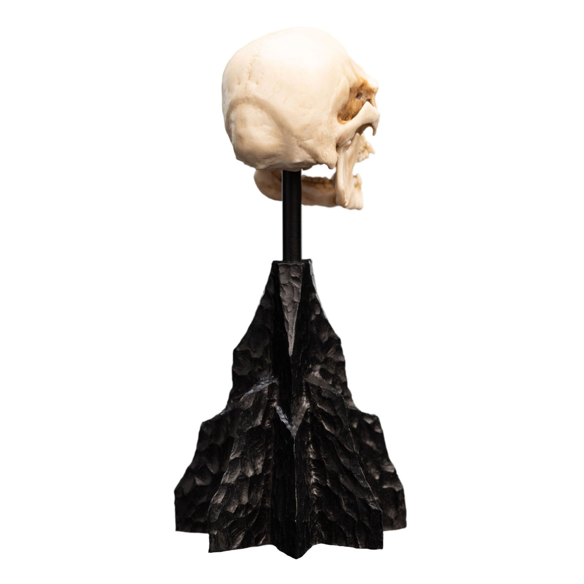 Produktbild Der Herr der Ringe - Skull of a Mordor Orc Mini Statue