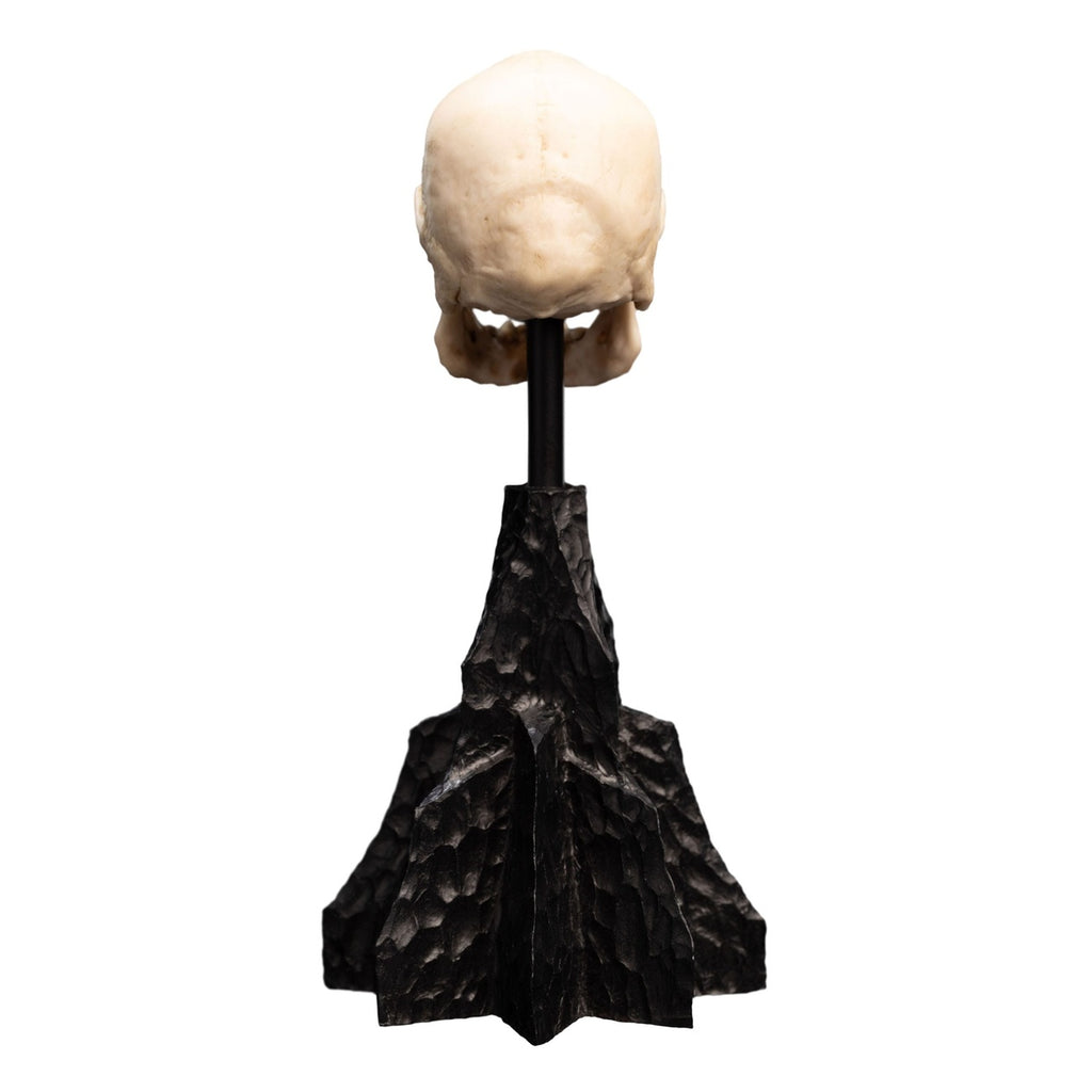 Produktbild Der Herr der Ringe - Skull of a Mordor Orc Mini Statue