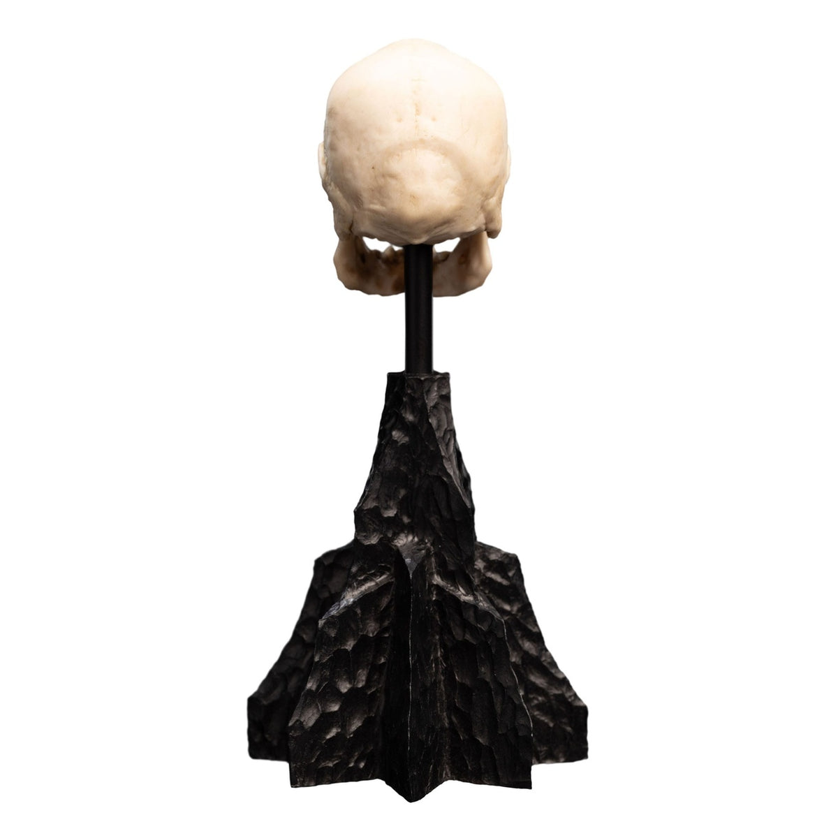 Produktbild Der Herr der Ringe - Skull of a Mordor Orc Mini Statue