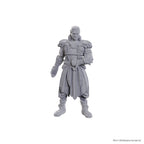 Produktbild D&D Nolzur's Marvelous Miniatures Miniatur unbemalt Jaheira & Halsin