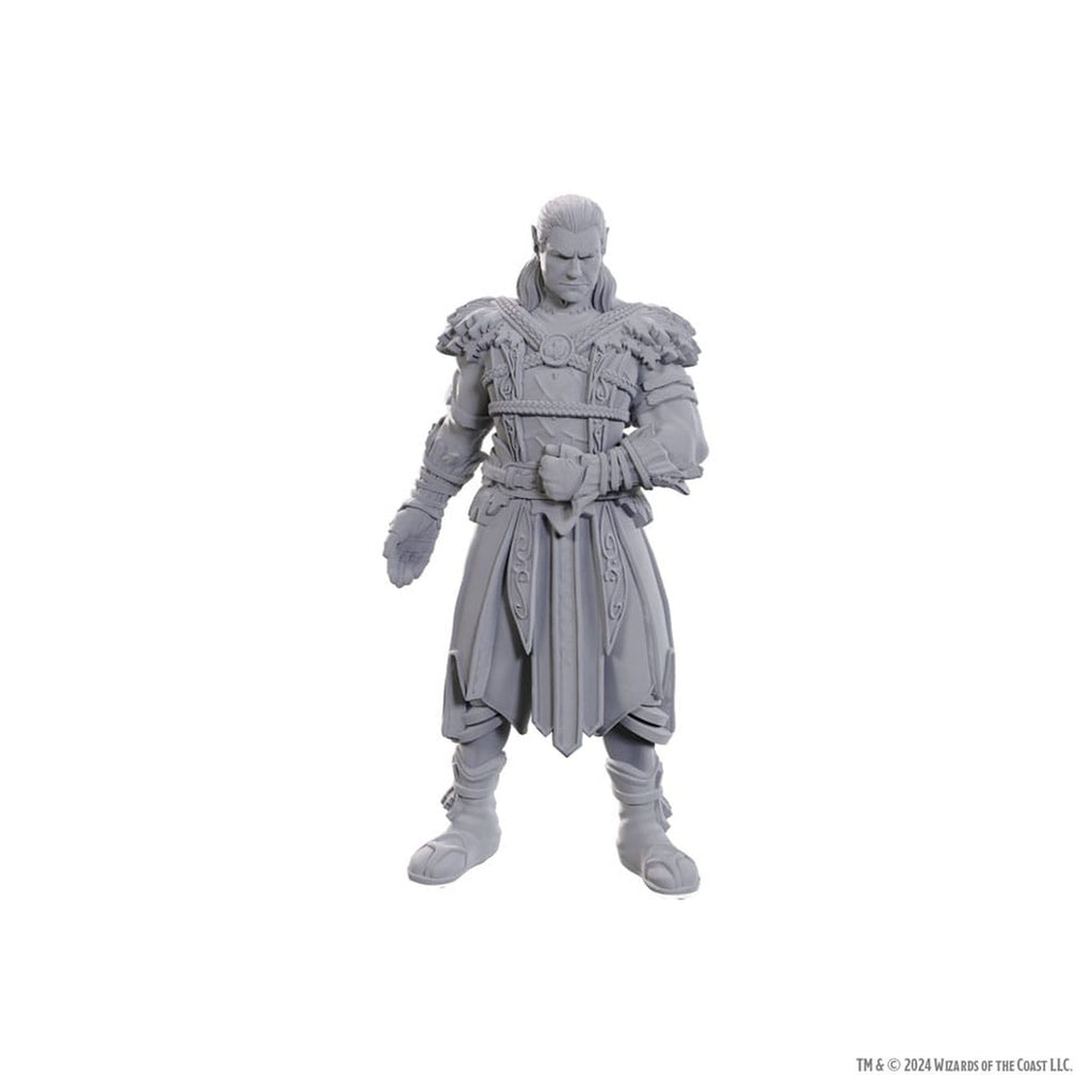 Produktbild D&D Nolzur's Marvelous Miniatures Miniatur unbemalt Jaheira & Halsin