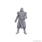 Produktbild D&D Nolzur's Marvelous Miniatures Miniatur unbemalt Jaheira & Halsin