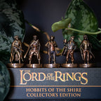 Produktbild Der Herr der Ringe - Die Gefährten Sammelfiguren 5er Set