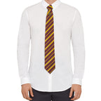 Produktbild Harry Potter Krawatte & Ansteck-Pin Deluxe Box Gryffindor
