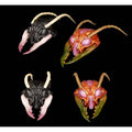 Produktbild Cosmic Character Pack Zubehör-Set für Actionfiguren Sphexxian Helmets Set