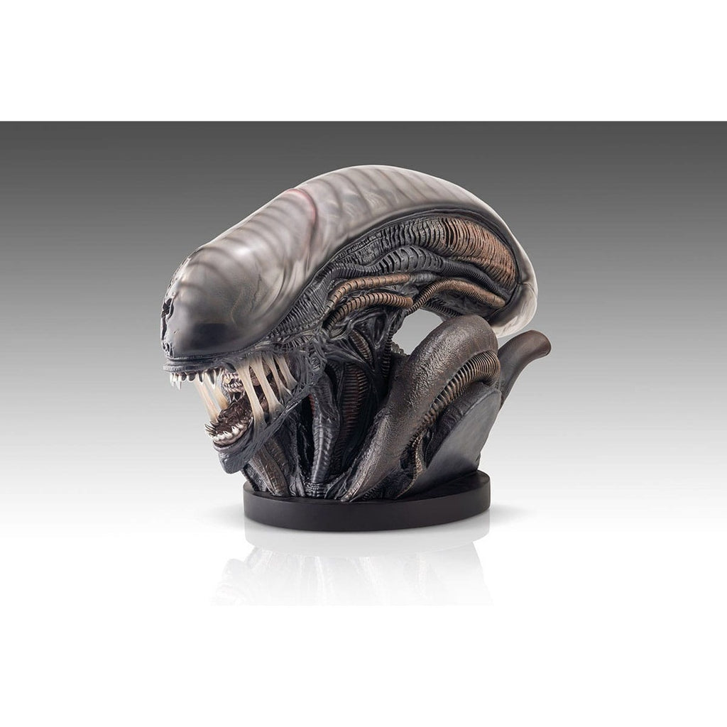 Produktbild Alien Romulus Büste 1/1 Xenomorph 53 cm