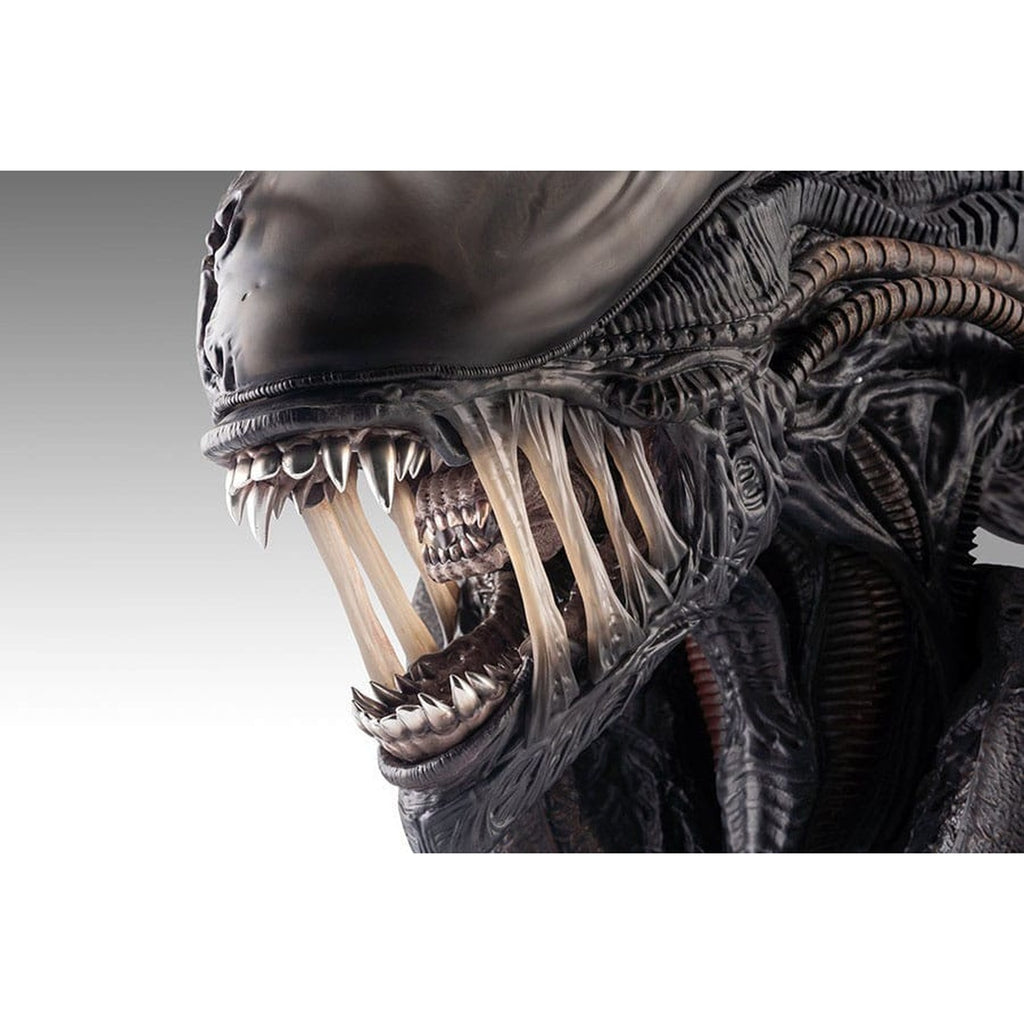 Produktbild Alien Romulus Büste 1/1 Xenomorph 53 cm