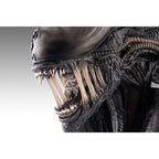 Produktbild Alien Romulus Büste 1/1 Xenomorph 53 cm