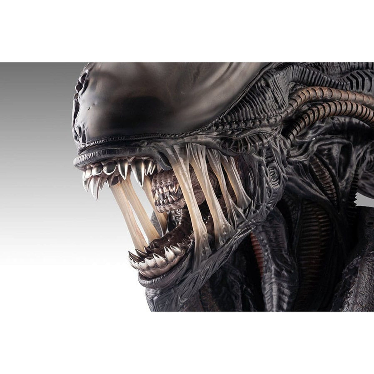 Produktbild Alien Romulus Büste 1/1 Xenomorph 53 cm