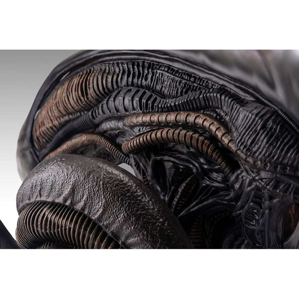 Produktbild Alien Romulus Büste 1/1 Xenomorph 53 cm