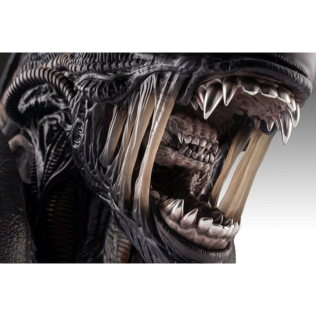 Produktbild Alien Romulus Büste 1/1 Xenomorph 53 cm