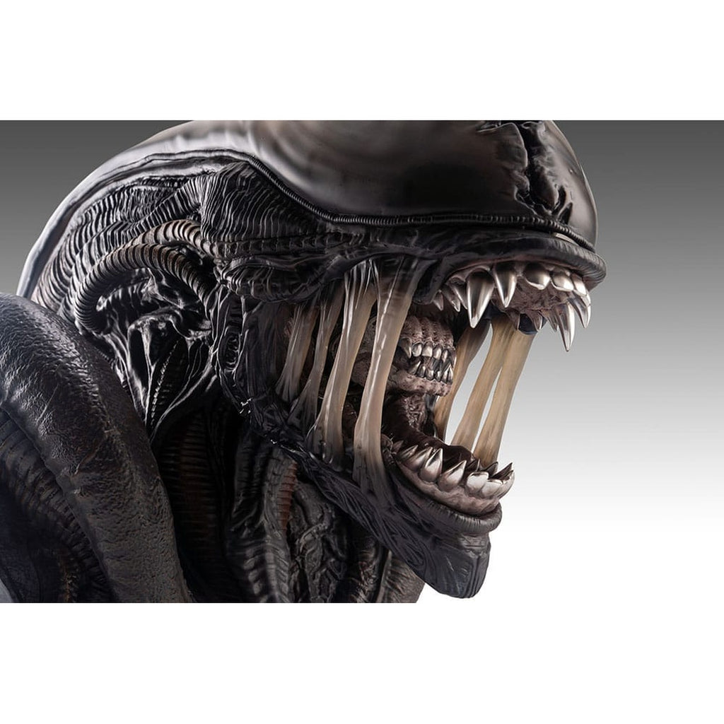 Produktbild Alien Romulus Büste 1/1 Xenomorph 53 cm