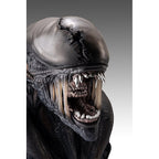 Produktbild Alien Romulus Büste 1/1 Xenomorph 53 cm