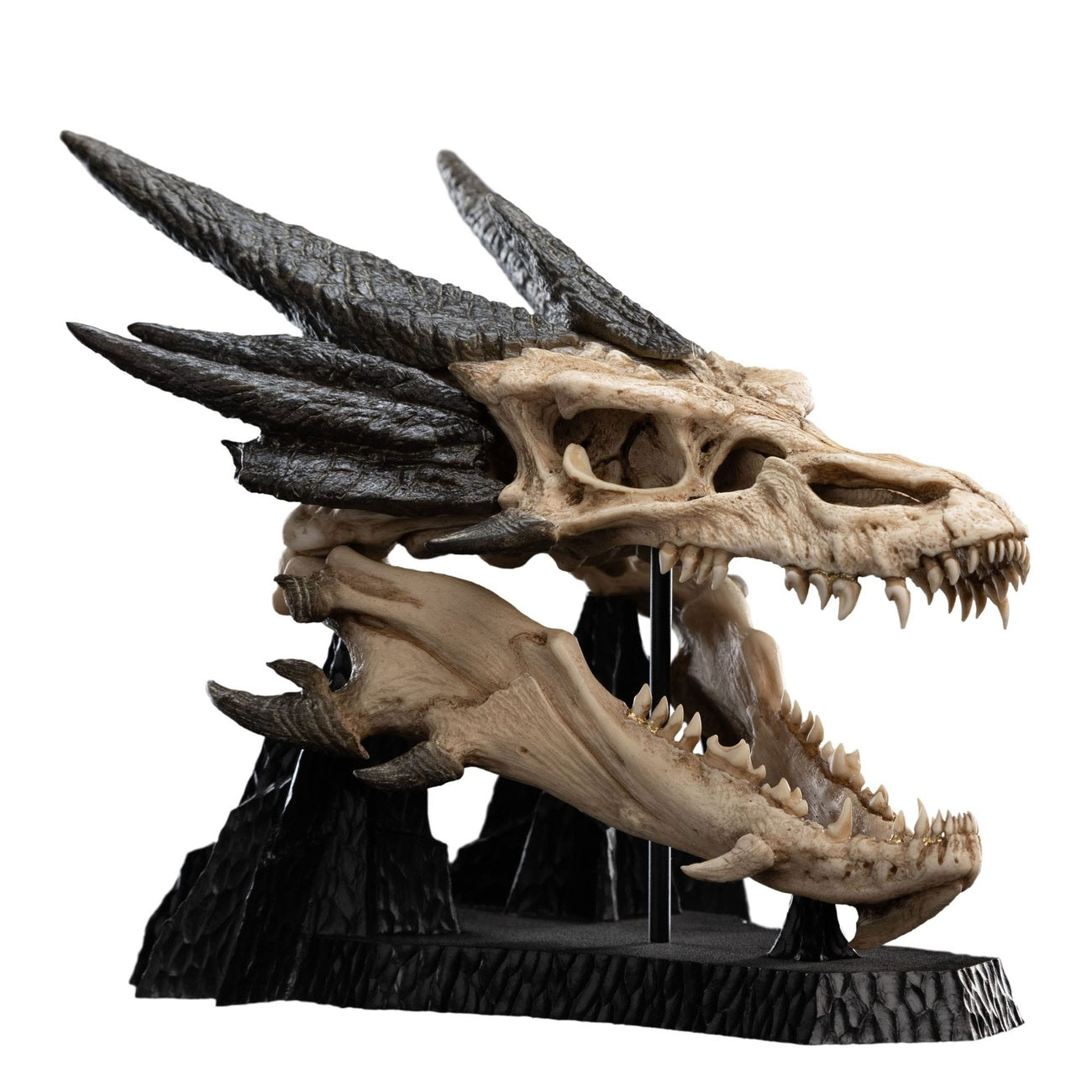 Produktbild Herr der Ringe Mini Statue Skull of Smaug 22 cm