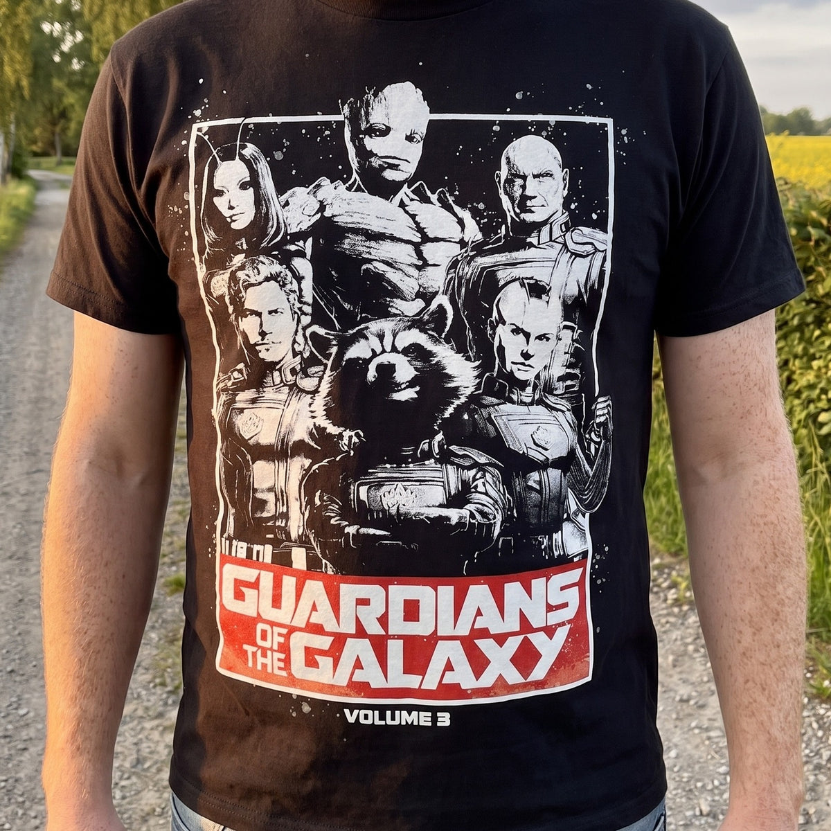 Produktbild Guardians Vol. 3 T-Shirt schwarz - Guardians of the Galaxy