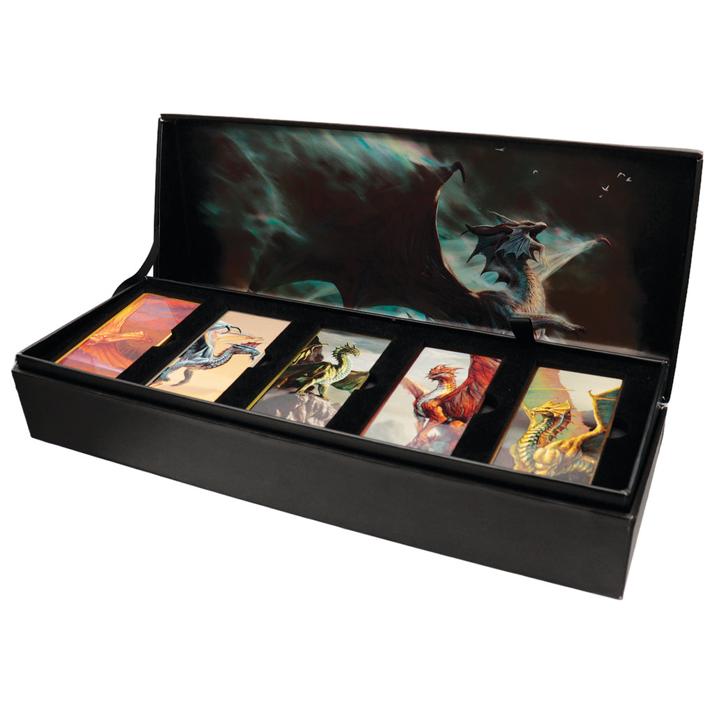 Produktbild Dungeons & Dragons - Magnet-Set in Geschenkbox
