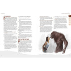 Produktbild Werewolf: The Apocalypse 5th Edition RPG Buch Scent of