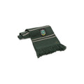 Produktbild Harry Potter Schal Slytherin 190 cm