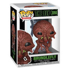 Produktbild Die Fliege POP! Movies Vinyl Figur Fly FinalForm 9 cm
