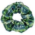 Produktbild Harry Potter - Slytherin Haargummi