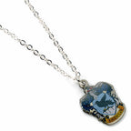 Produktbild Harry Potter - Ravenclaw Kette
